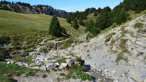 Couvreur urgence Challans